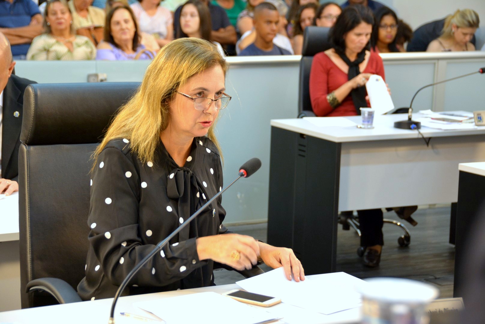 Revisão dos vencimentos de estagiários da Prefeitura entra na pauta de vereadora