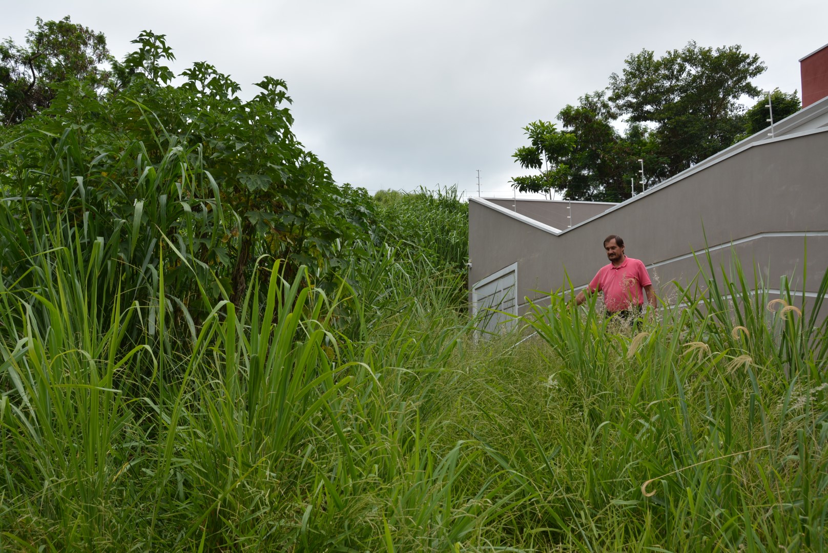 Vereador Carlos Trigo faz visita ao Jardim Itália e identifica problemas com mato alto e buracos