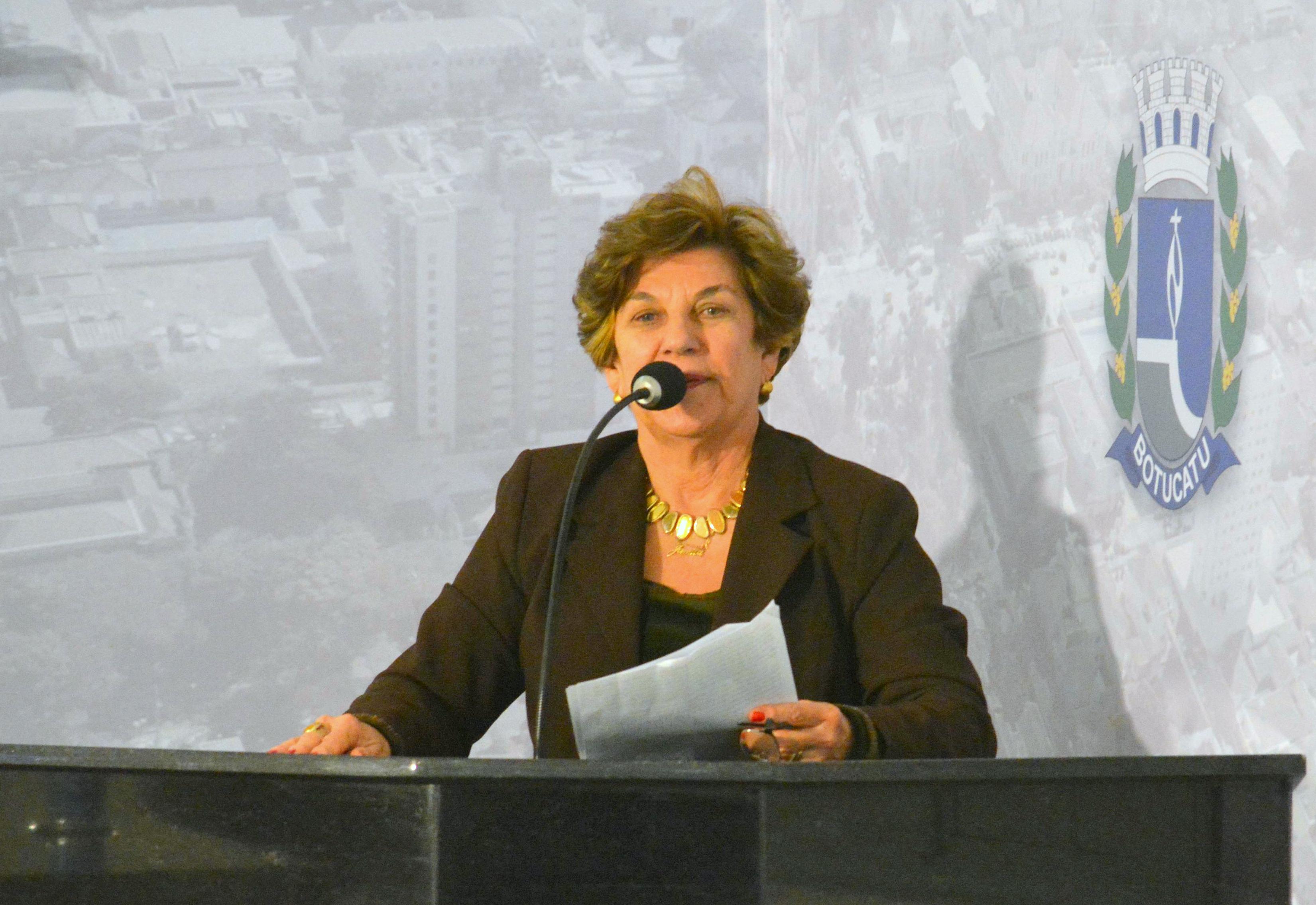 Jamila apresenta pedidos por iluminação pública em praça e instalação de gabião
