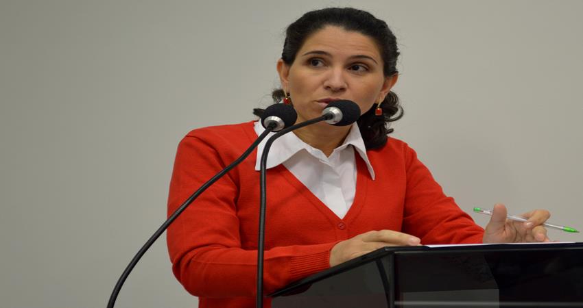 Rose Ielo quer informações sobre conselhos municipais na educação e de pessoas com deficiência