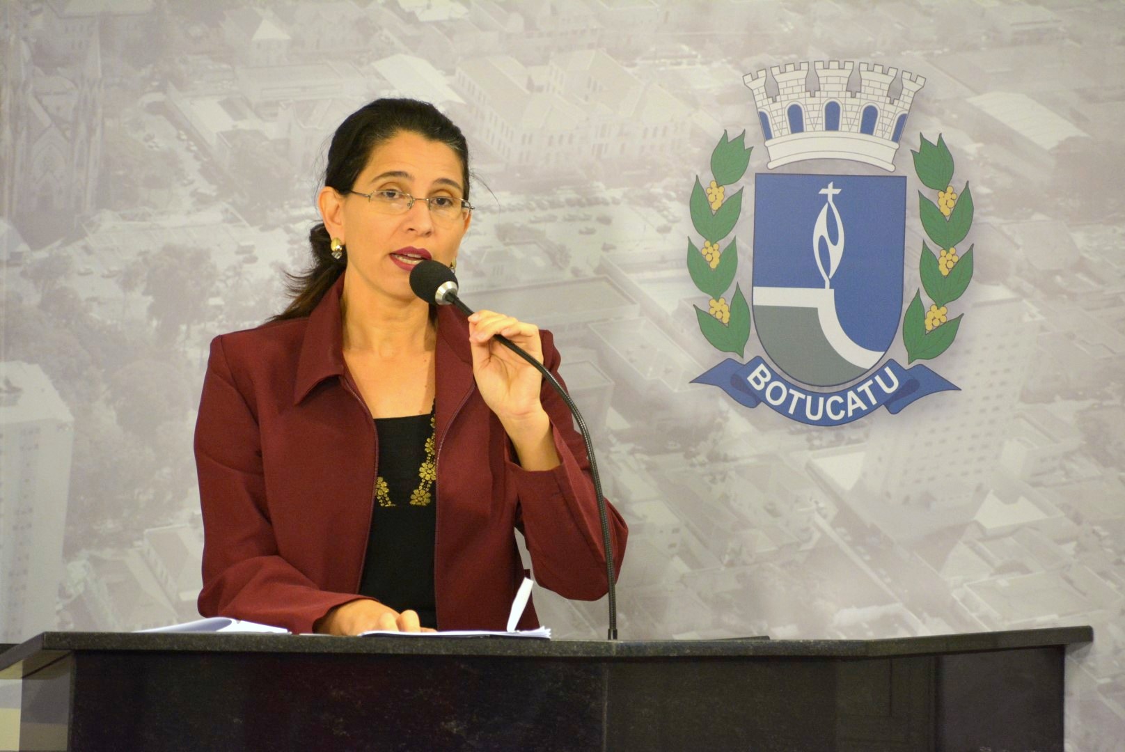 Rose Ielo cobra do município regularização de acessos na extensão da Gastão Dal Farra