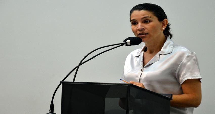 Rose Ielo apresenta questionamentos sobre verba adicional e desaparecimento de caldeira a vapor