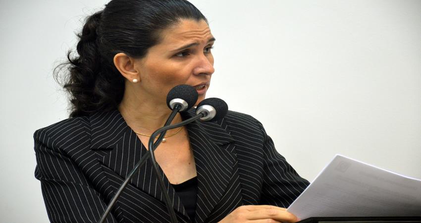 Rose Ielo apresenta solicitação por adesão do Executivo ao plano de combate a incêndios e queimadas