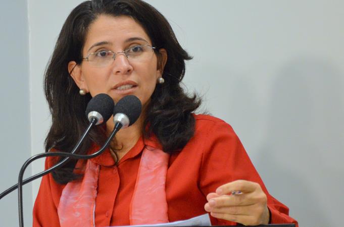 Rose Ielo apresenta pedidos por limpeza de propriedade abandonada e por relatórios de conferência